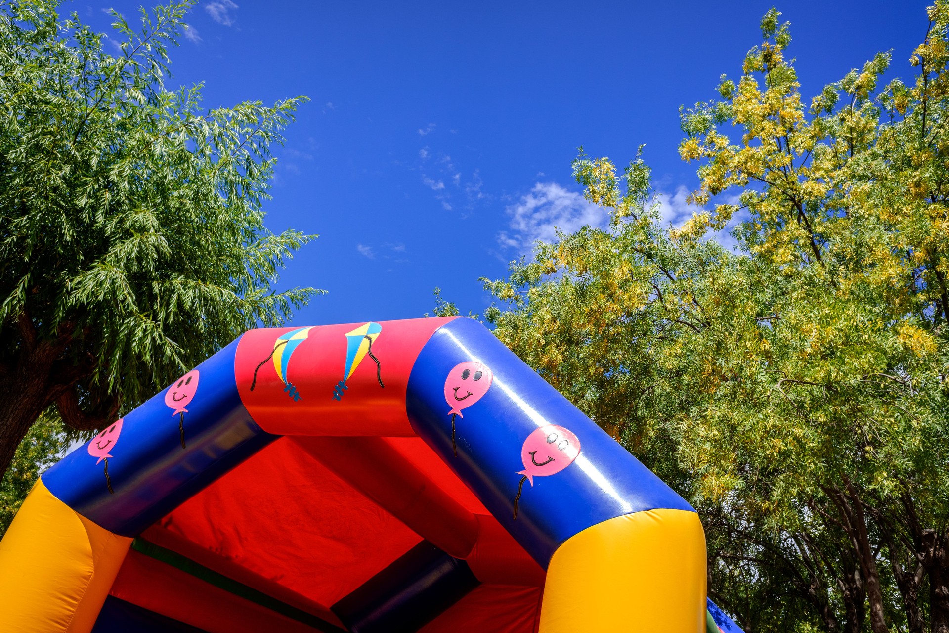 Inflatable castles with fun shapes.